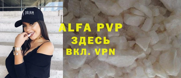 индика Абинск