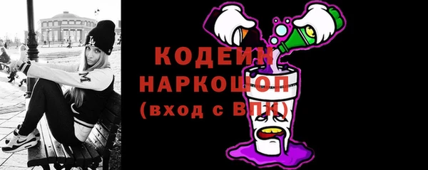индика Абинск