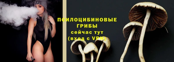 крисы Алзамай