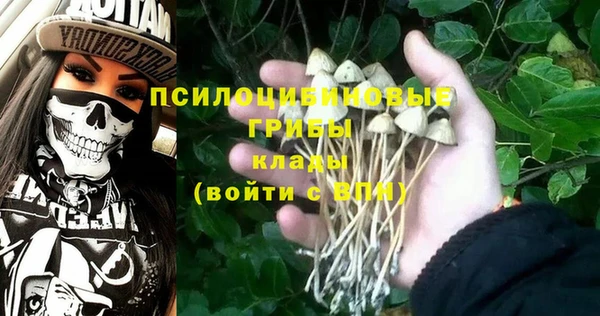 индика Абинск