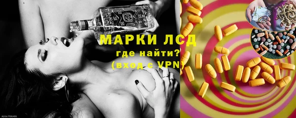 крисы Алзамай