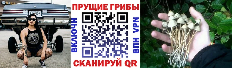 Псилоцибиновые грибы мухоморы  мега маркетплейс  Соликамск 
